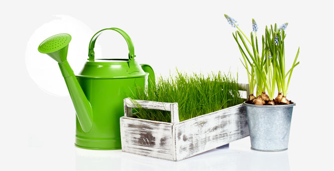 Descubre nuestro produtcos para jardín y terraza